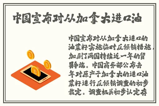 おとまりせくす中文在线